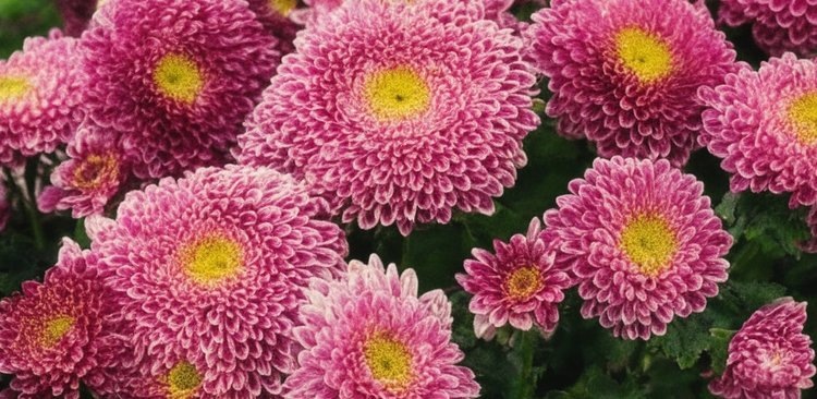    Фото: Медведева Анна, AgroXXI.ru