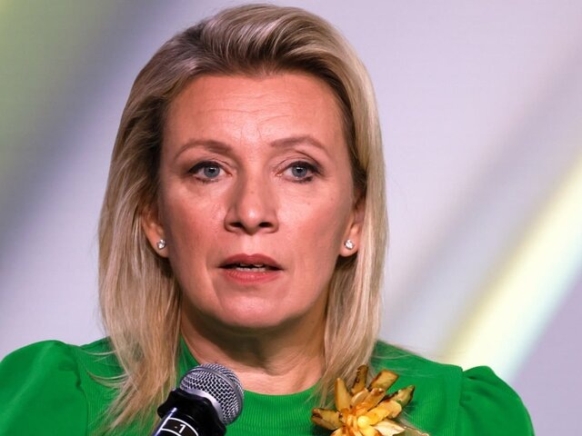    Фото: ТАСС/Михаил Метцель