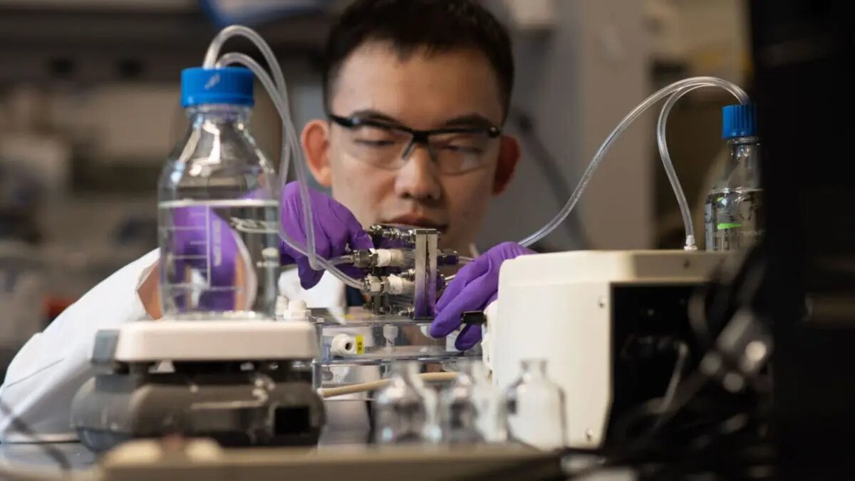 Фото: Bumper DeJesus