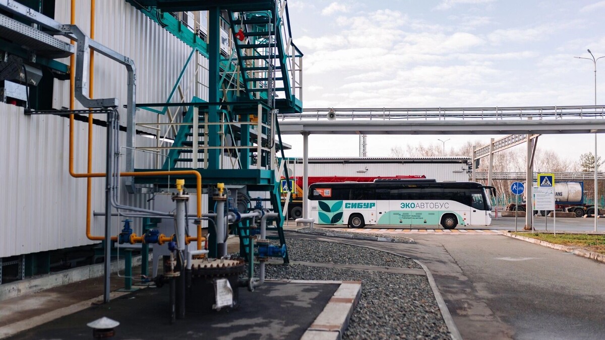     Источник: Сибур