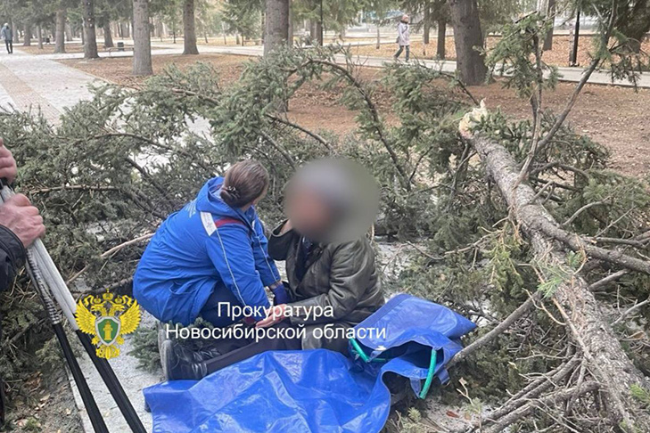    Фото и видео прокуратуры Новосибирской области