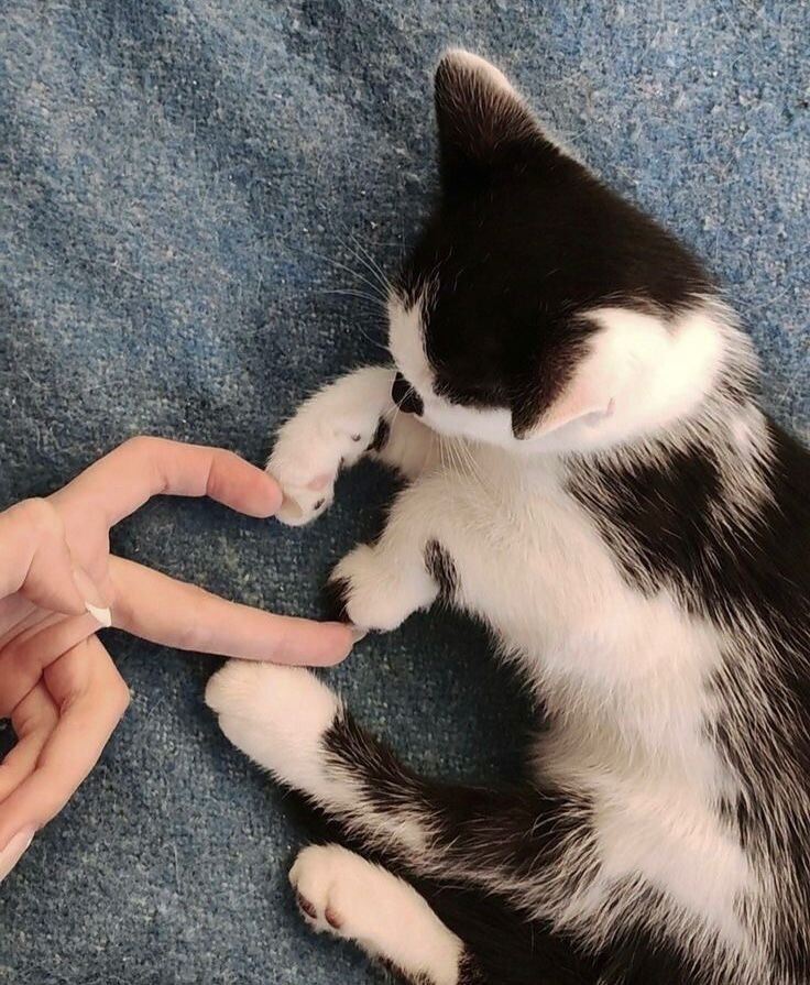 Как сказывается ваше поведение 