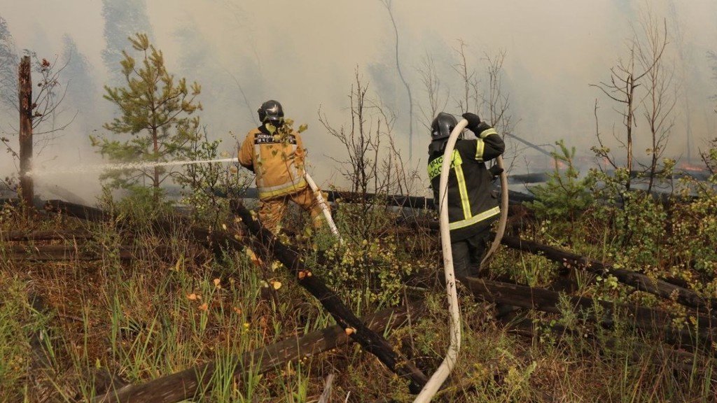    Фото © МЧС РФ