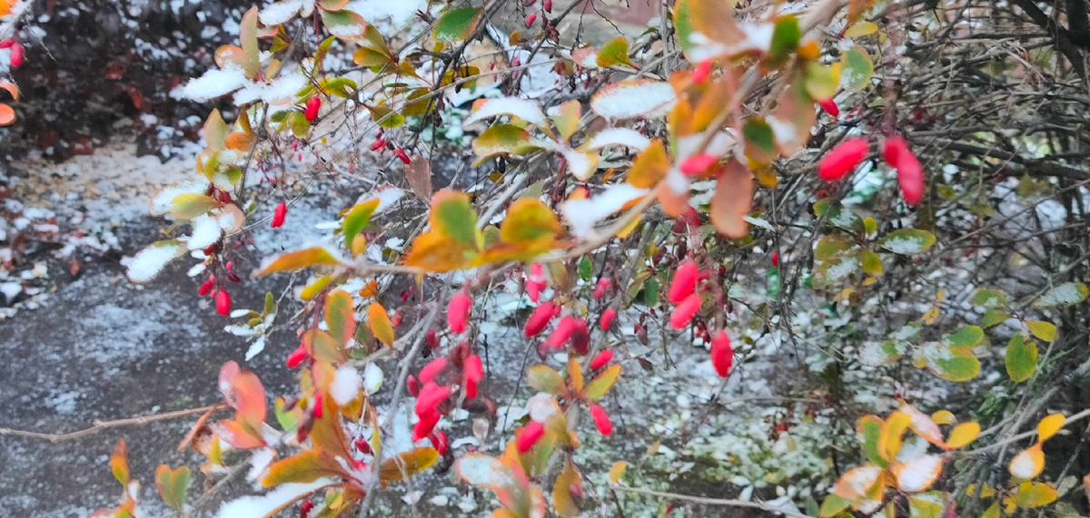 «Семья — это не главное. Это всё».Майкл Джей Фокс (актер)