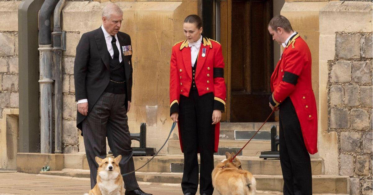 Фото Getty Images