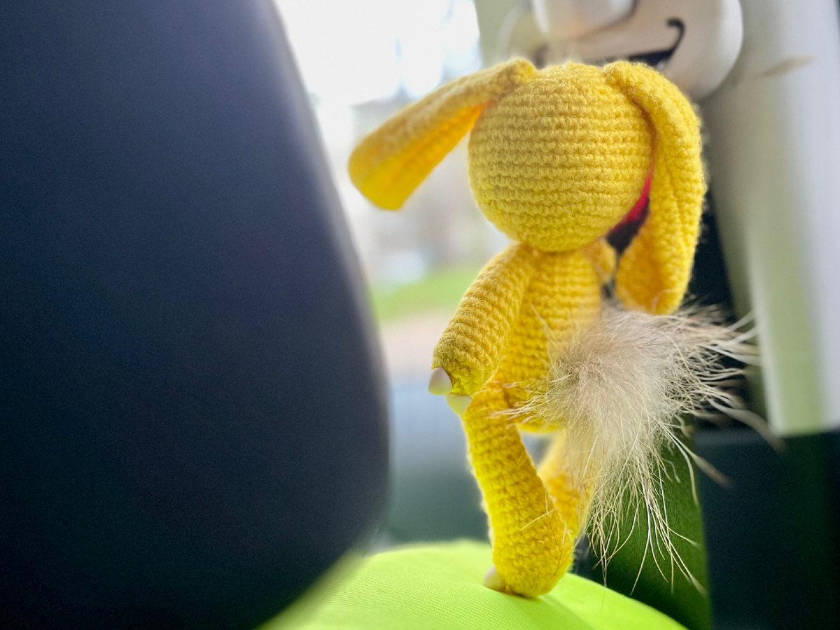 У зайца пушистый хвостик 