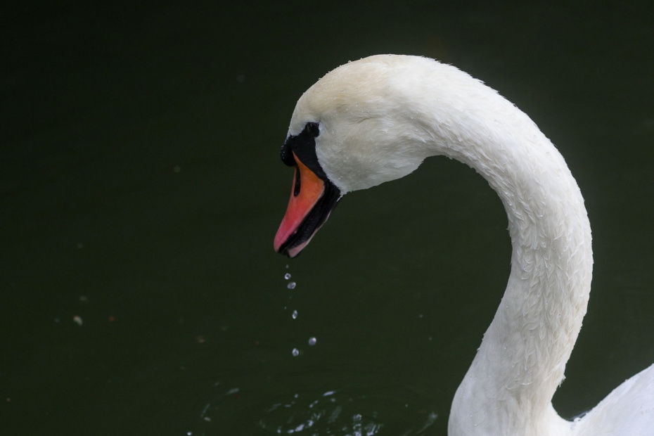    Наталья Шатохина/NEWS.ru