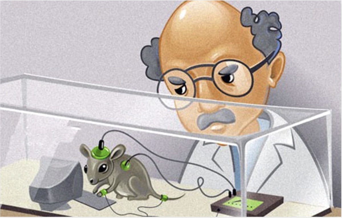 из открытых источников