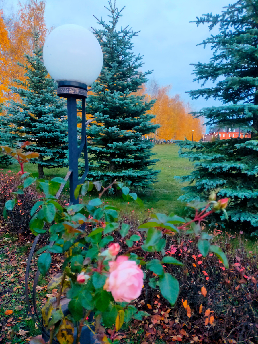 Фото автора 