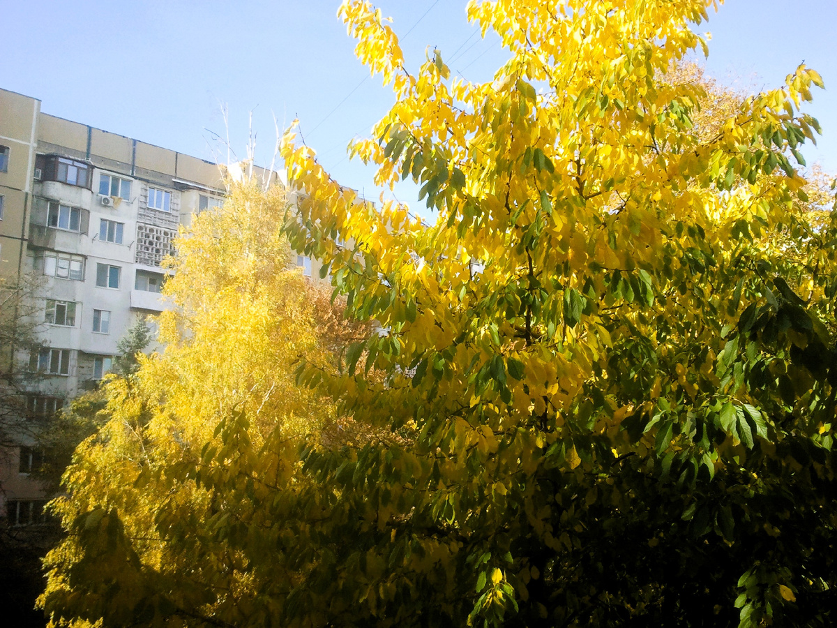 Фото автора