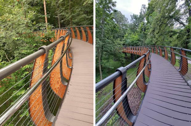 Летом вокруг зелень, осенью золото