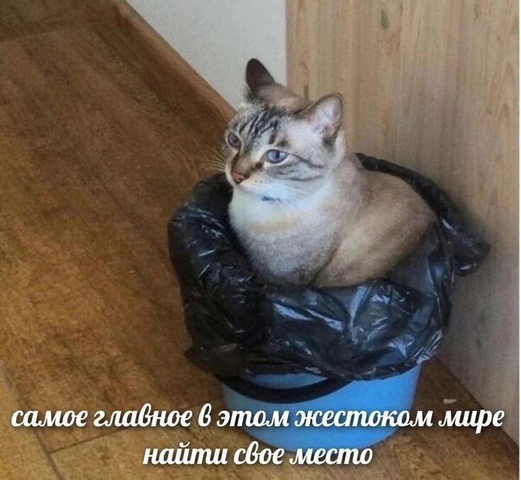 источник Яндекс-картинки