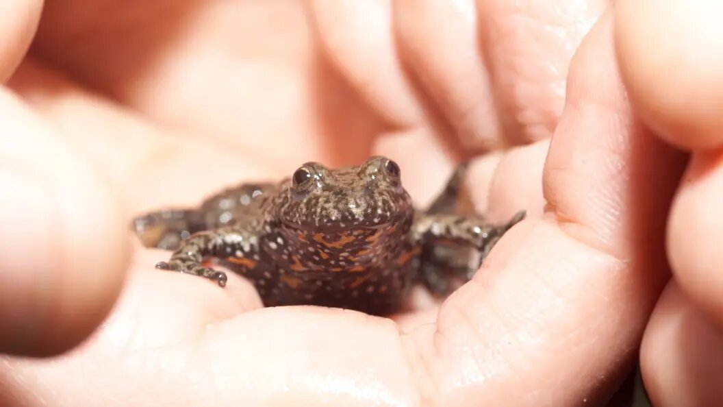    allOver/Globallookpress