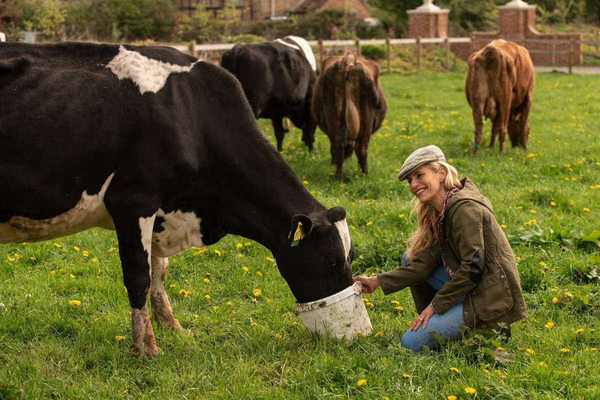     Нейроагро: работа с мозгом коров может стать новым этапом эволюции животноводства
