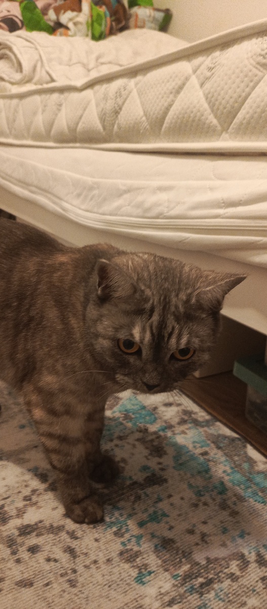 Вот она какая, милая!!