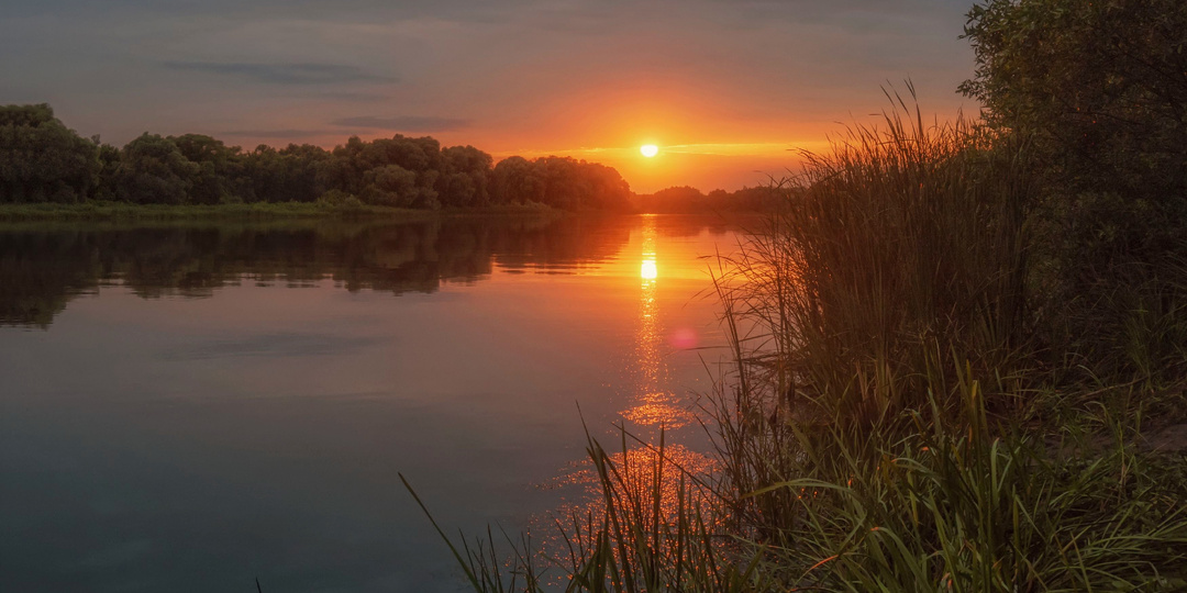 Будни Гражданской войны: историческая основа одного эпизода романа "Тихий Дон"