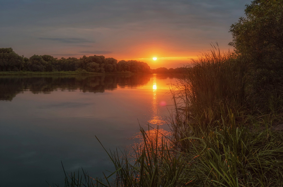 Просто фото Дона