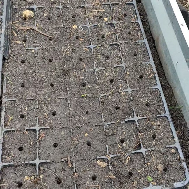 Фото от 19 апреля