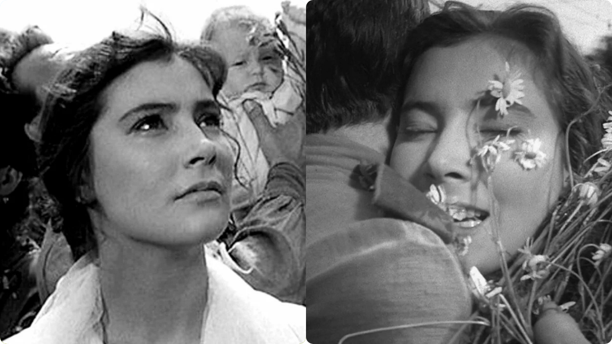 Кадры из фильма "Летят журавли"