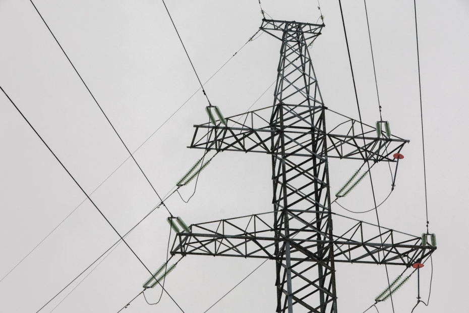    Алексей Белкин/NEWS.ru