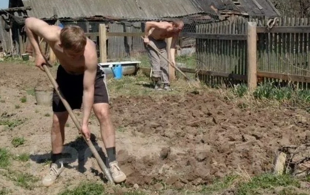 перестала копать грядки