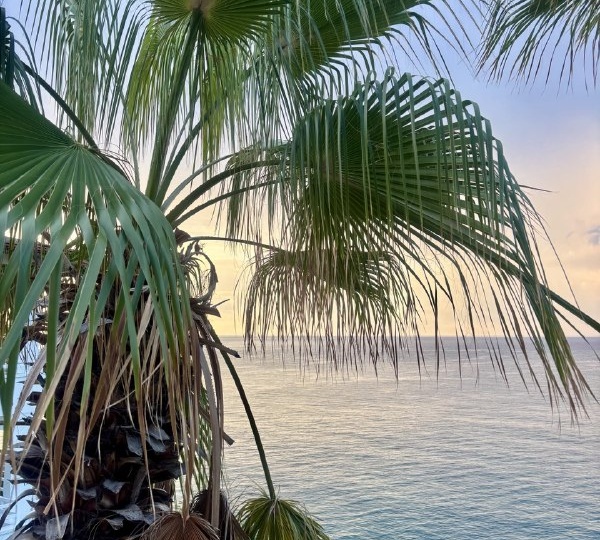 Автобус вместо авто.Выгодно ли?Турция.Возвращение в Аланью