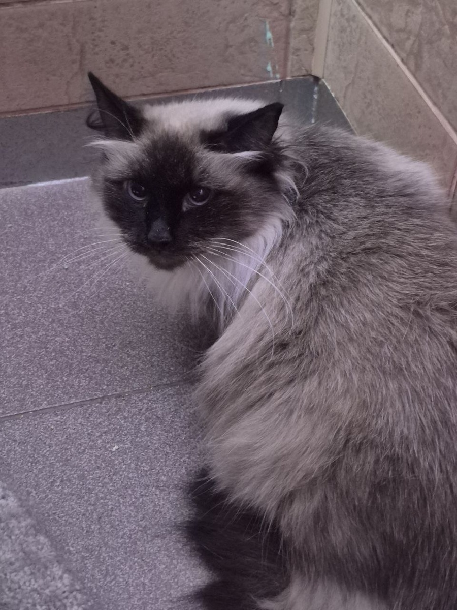 Зачем пришла? 