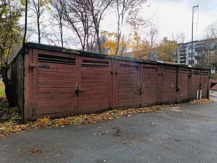     Оперативники нашли боевое оружие, патроны и наркотики в гаражном боксе на Приморском шоссе. Фото: архив МК в Питере.