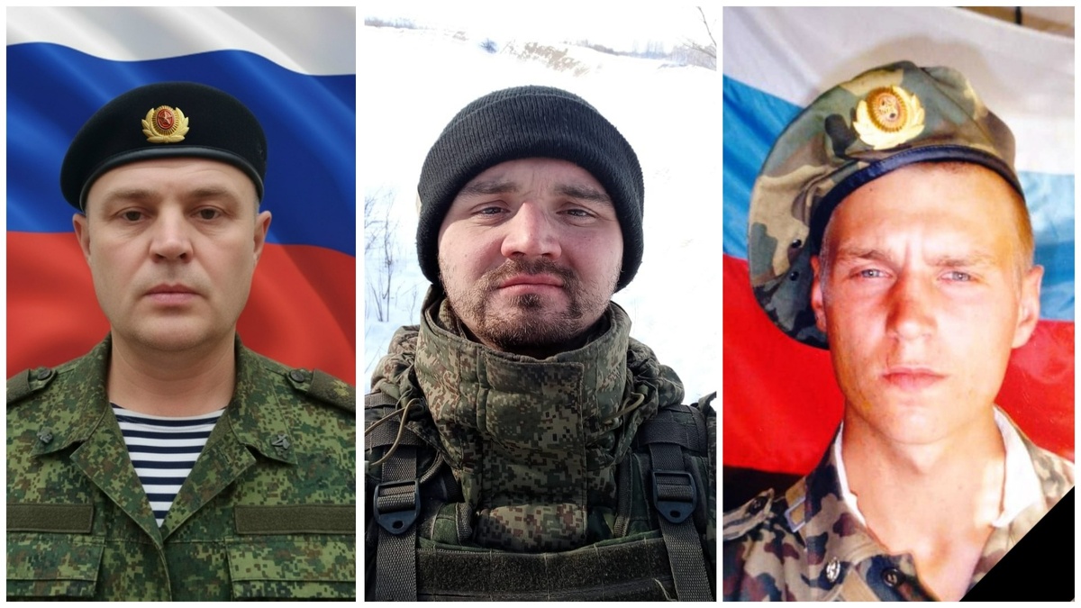 Андрей Богданов, Даниил Никитин, Александр Ковалев