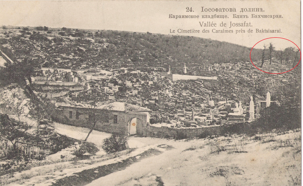 Иосафатова долина. Дореволюционная открытка. В правом верхнем углу можно видеть группу деревьев (дубов).