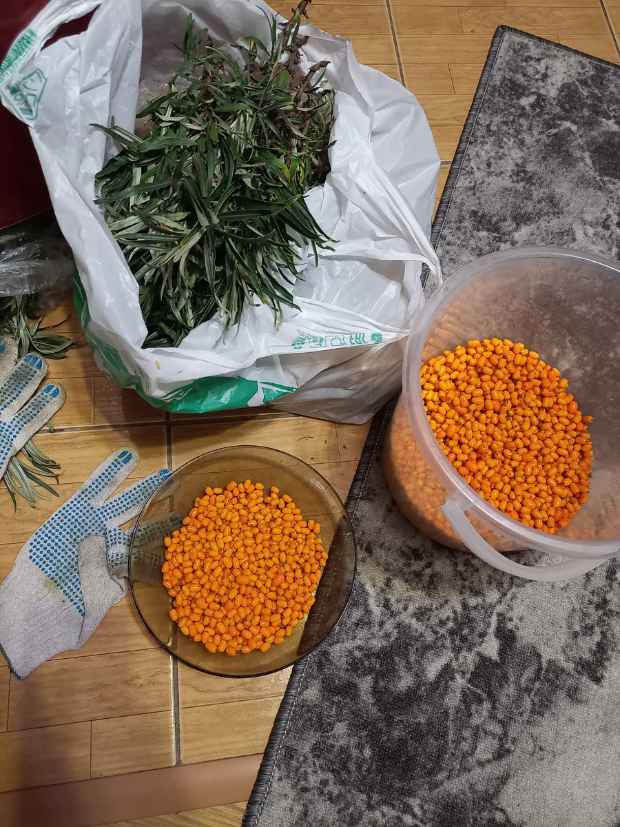 Фото автора. Вот так и перебирала🤭