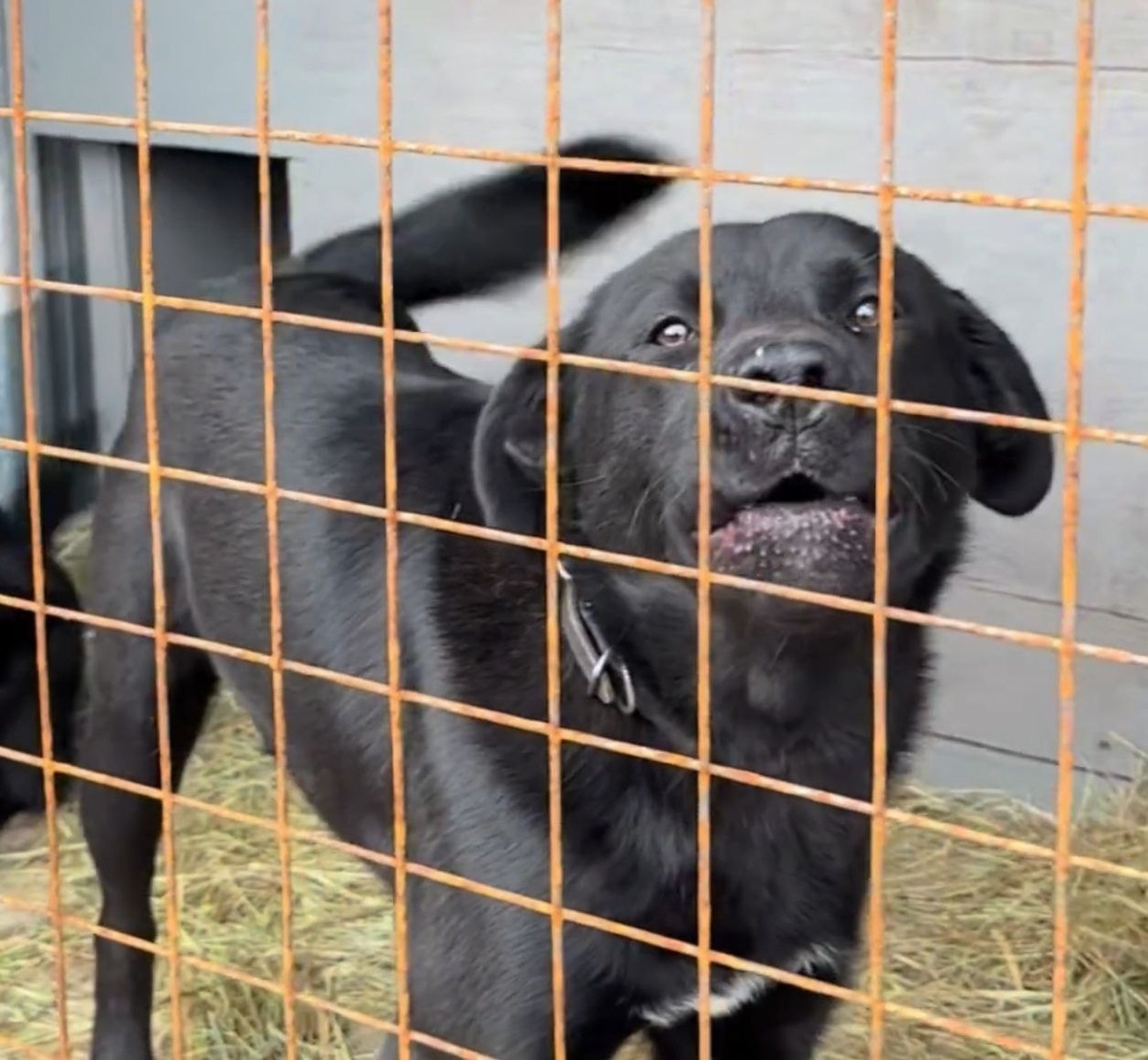    фото: © Инна Колыхматова