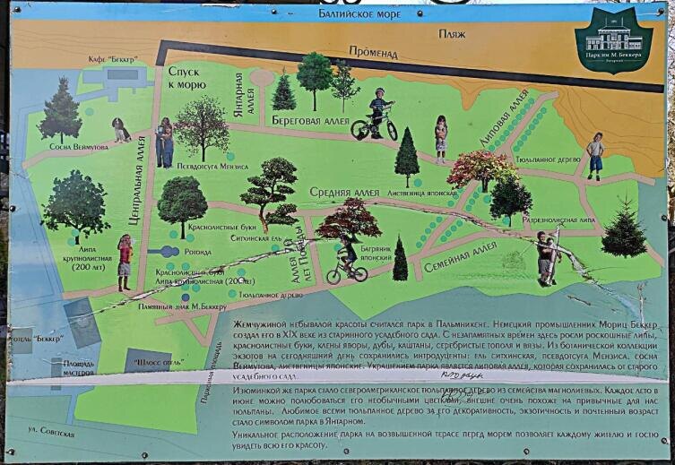    Парк имени Морица Беккера. Карта-схема Фото: Анна Табаева, личный архив