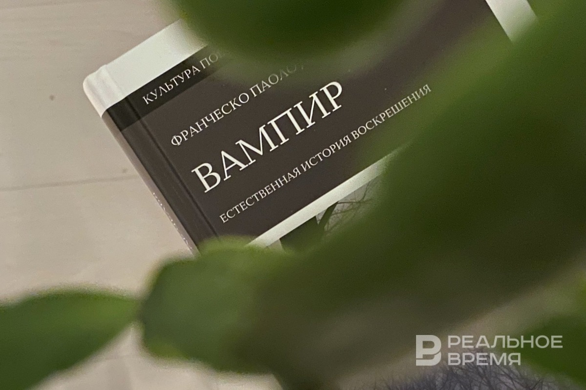   Екатерина Петрова / realnoevremya.ru