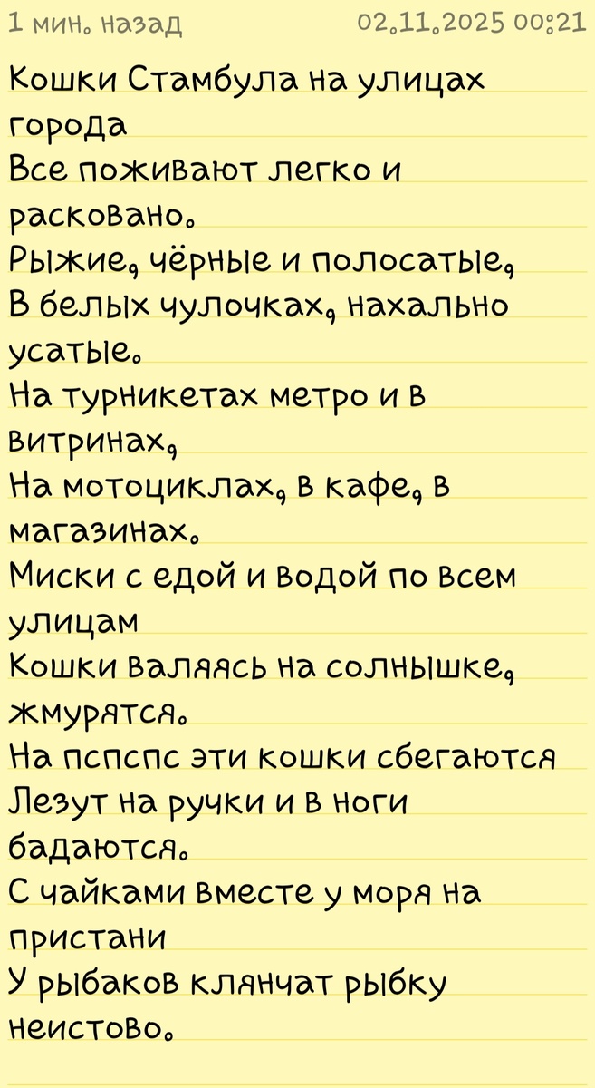 Примерно так это выглядит в Стамбуле