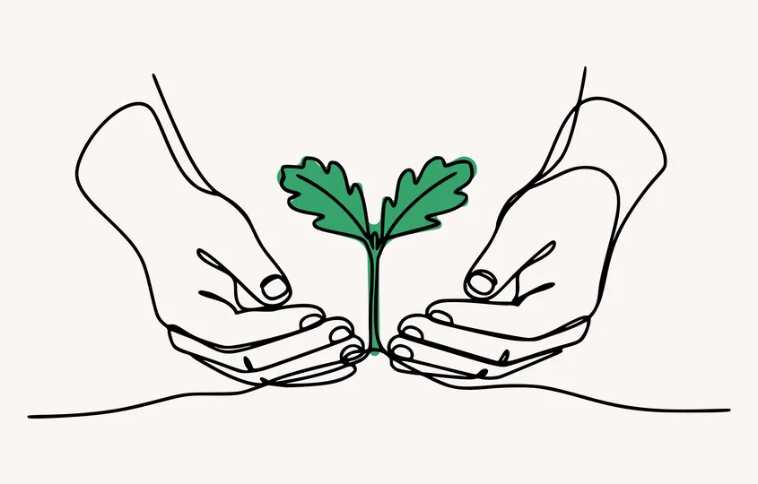 Какие деревья можно сажать возле дома, а какие нельзя