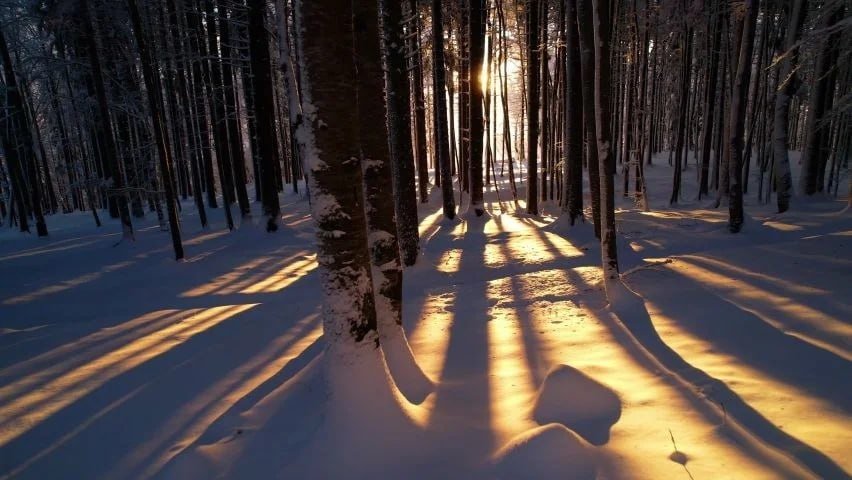 Короткое зимнее затишье