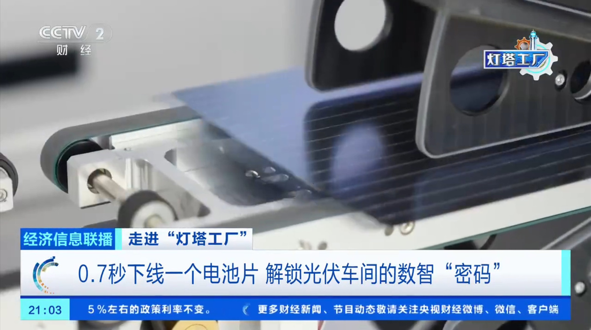 Скриншот видео CCTV  📷
