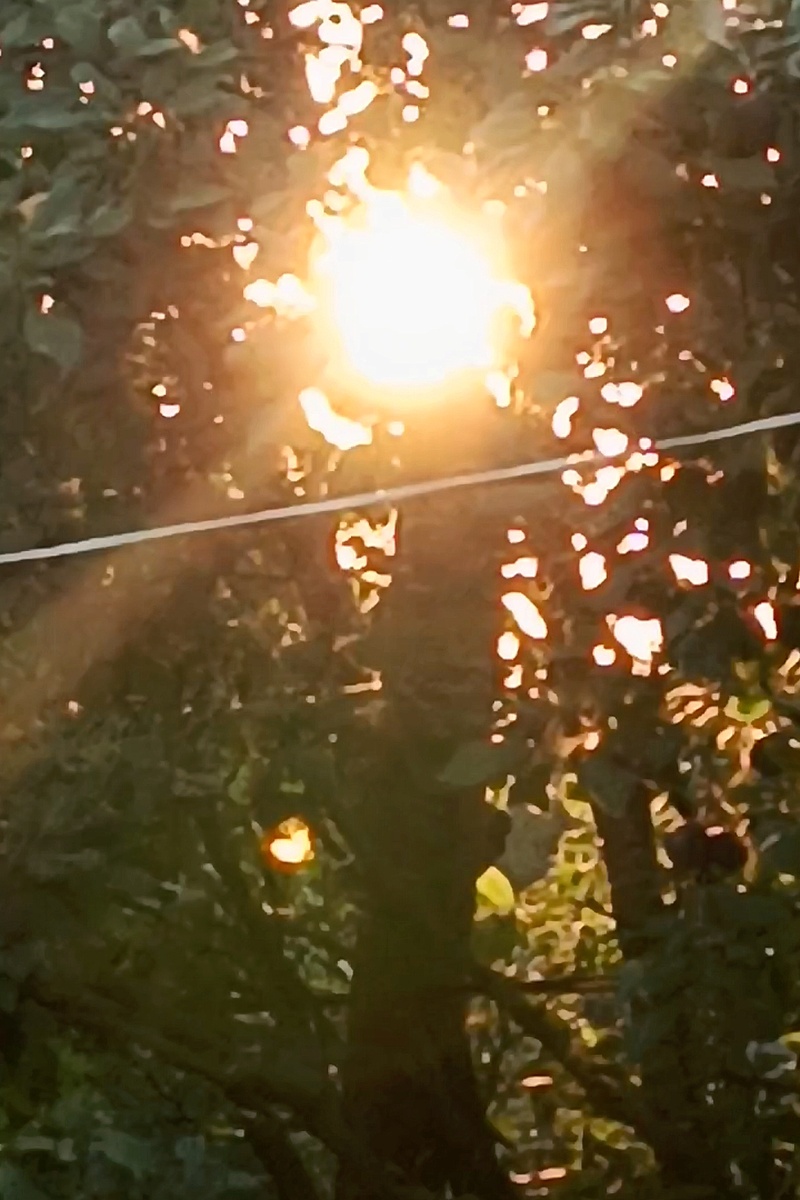 Фоторабота из личной галереи автора канала: "Лингвистика и этимология"