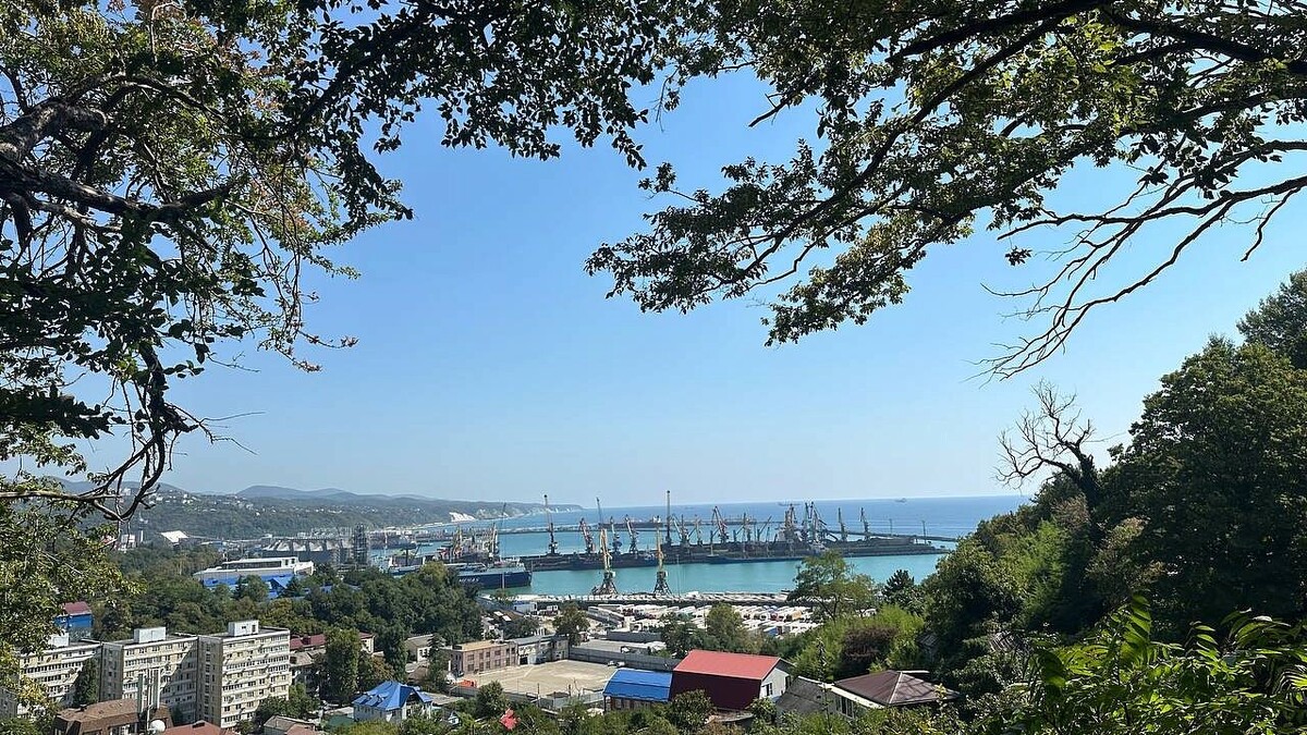    Фото: телеканал «Краснодар»