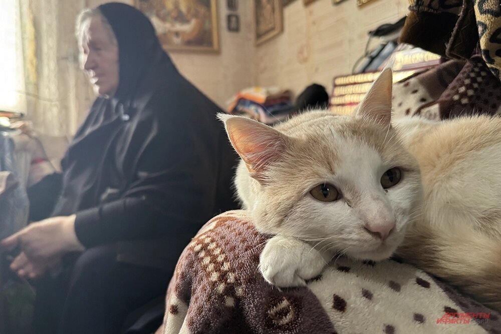    Кот Котя и матушка Екатерина. Фото: АиФ/ Дмитрий Григорьев