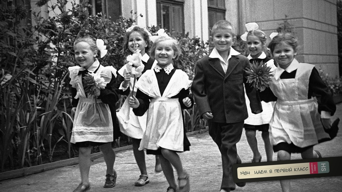 Проект вечер встречи выпускников
VHS воспоминания ProShow Producer