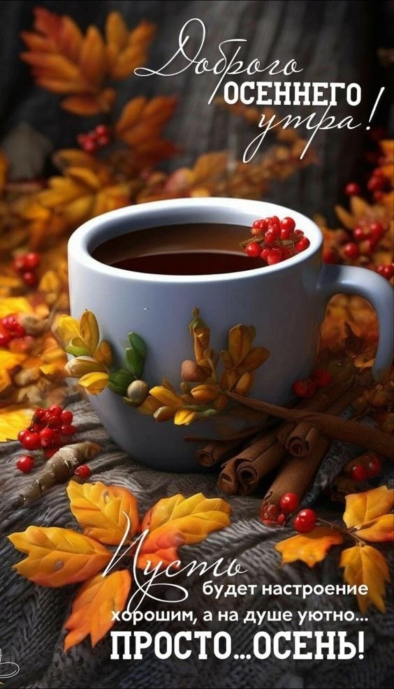 Для вас🤗🥰