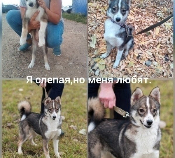 💔🆘 "Я СЛЕПАЯ, НО Я ТОЖЕ ХОЧУ ЖИТЬ!" Помогите Джине! 🆘💔