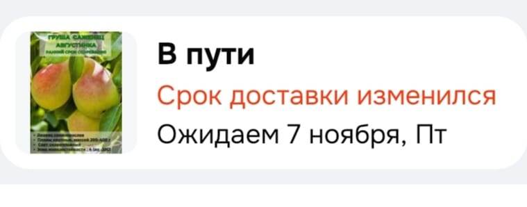 Интересно, как поступить, когда на улице уже минус?!