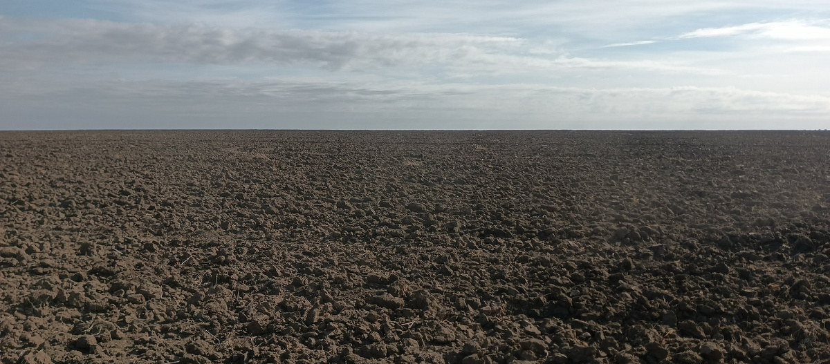 Зябь осенью