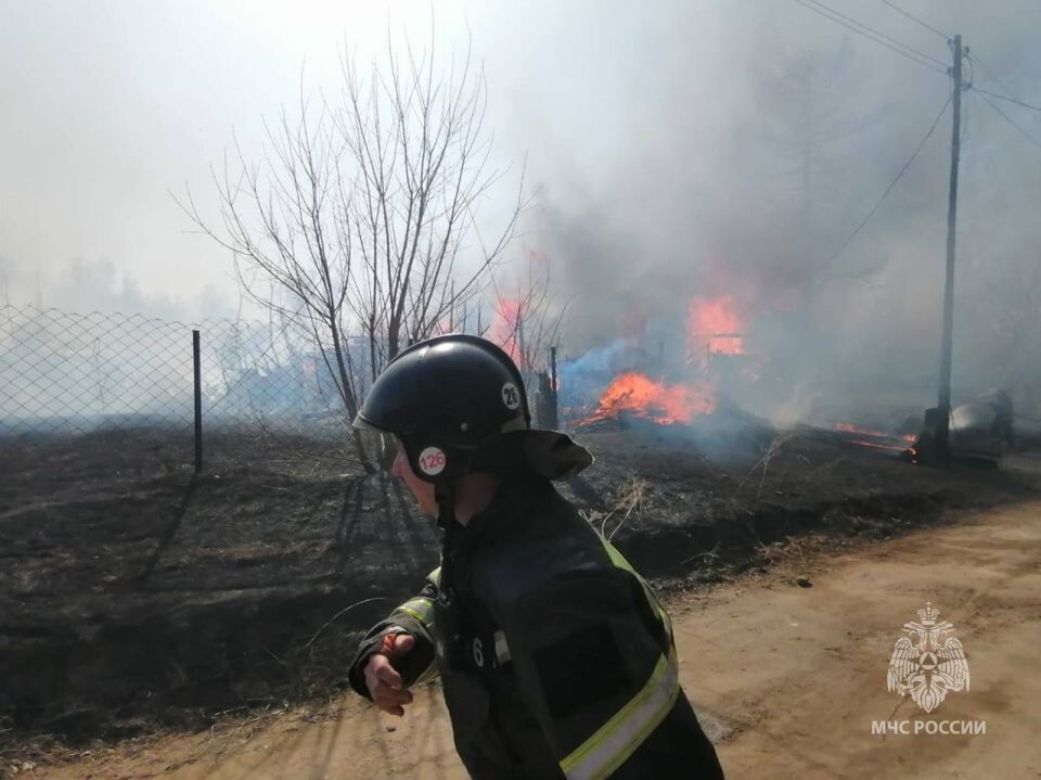    В Алтайском крае горит трава. Источник: МЧС России