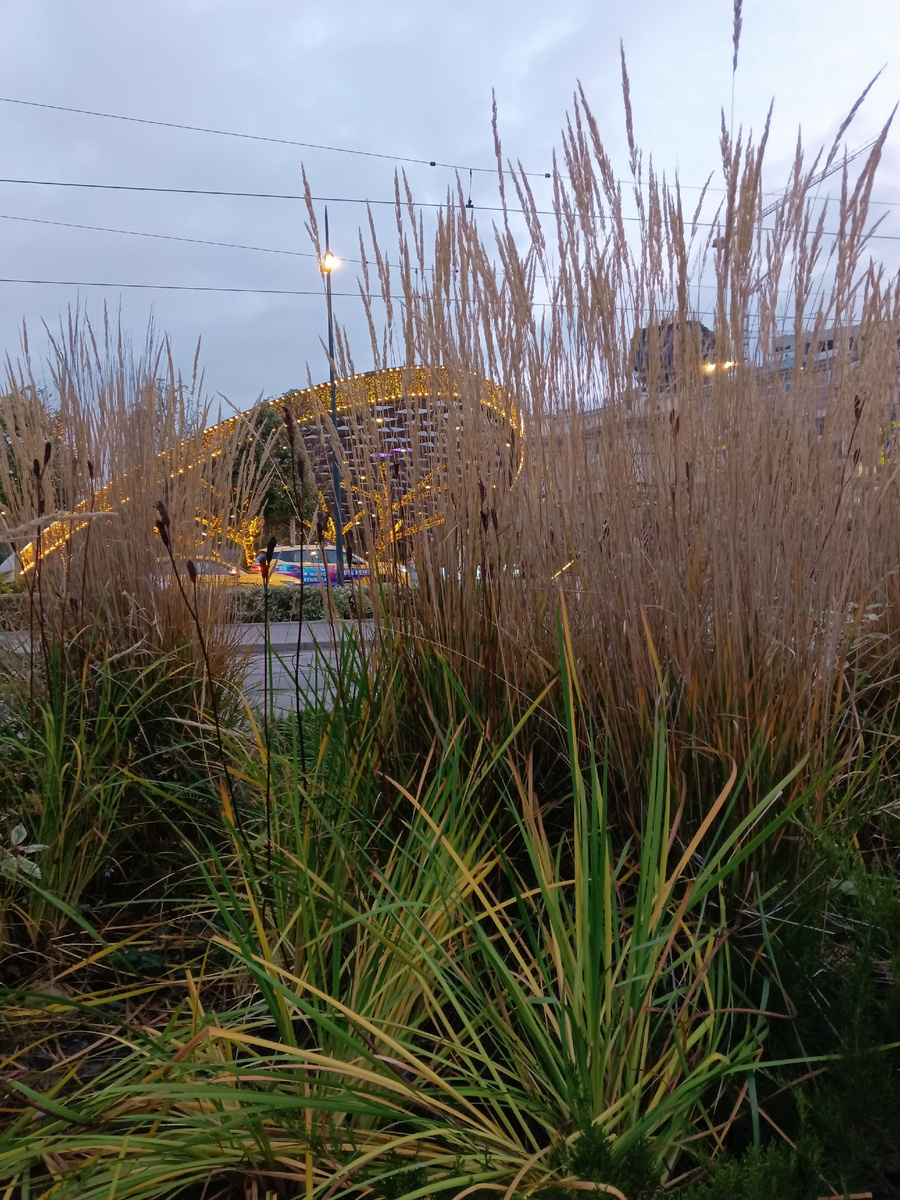 На Павелецком вокзале