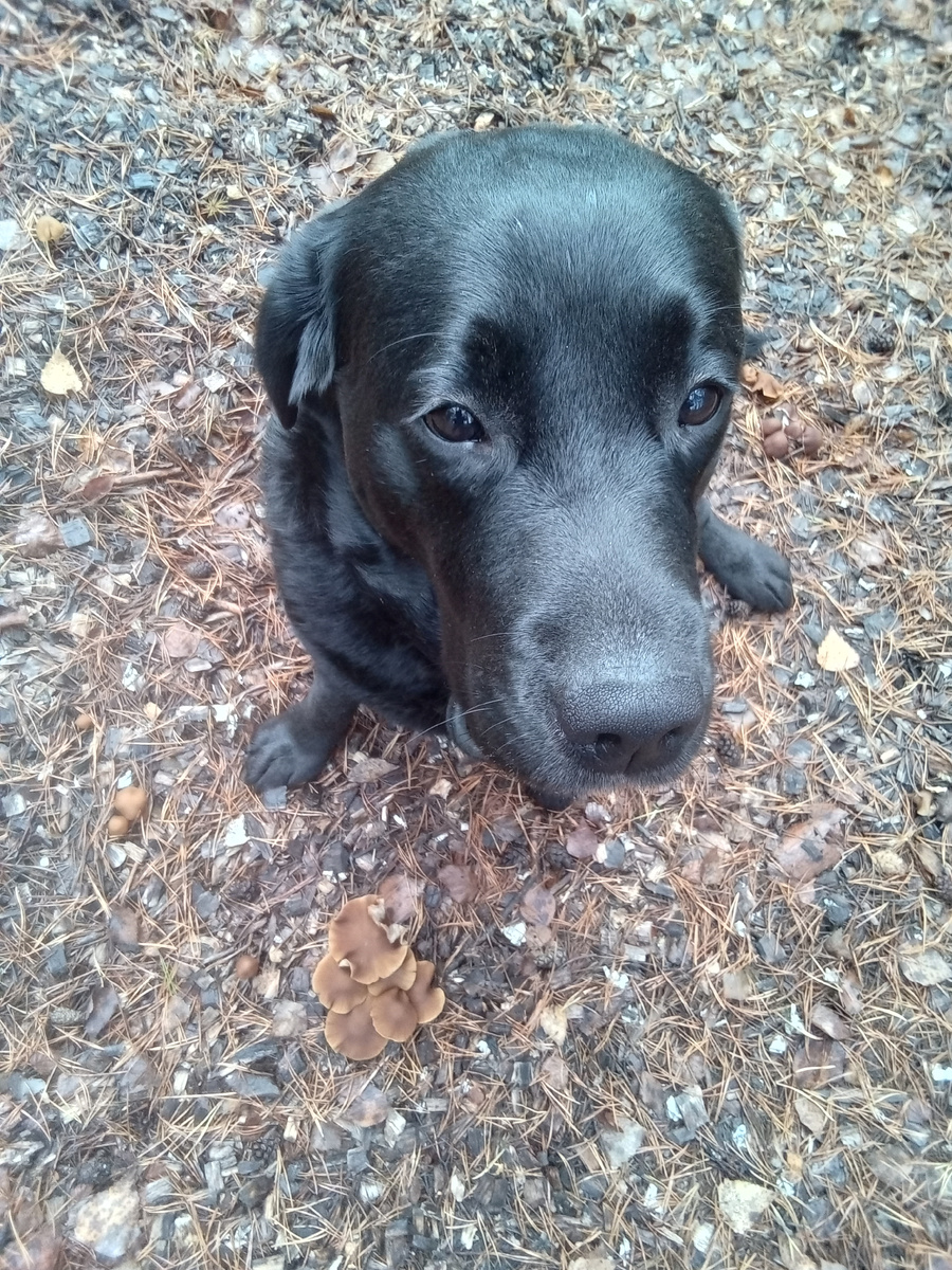 Фото автора. 