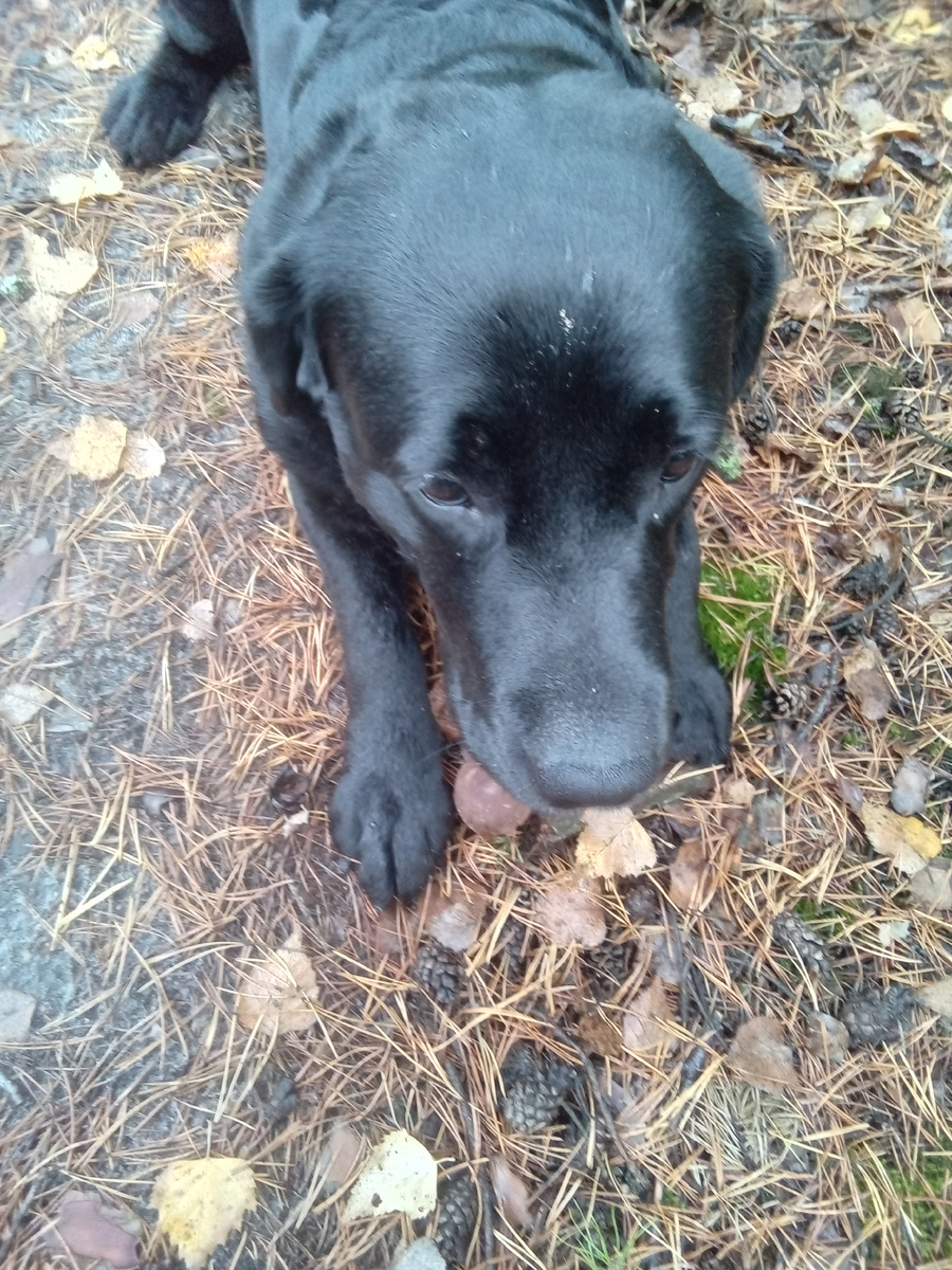 Фото автора. 